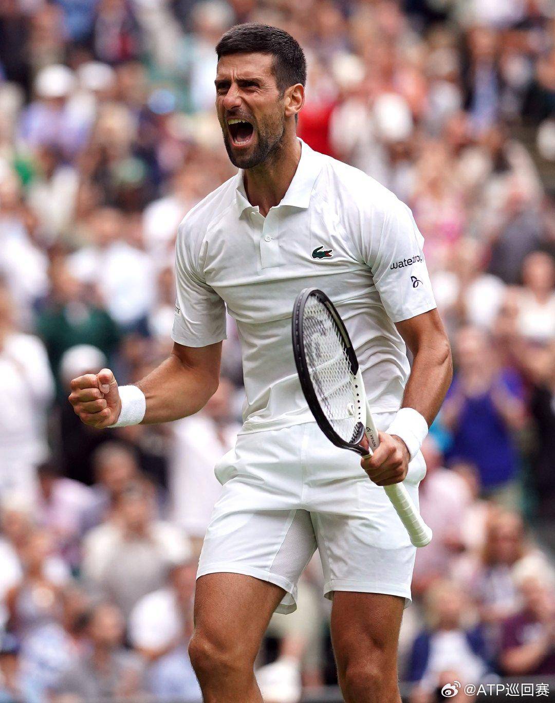 了一种成熟 了一种成熟